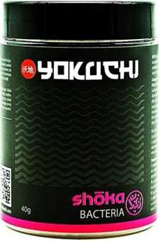 Yokuchi Shoka Bacteria 40g