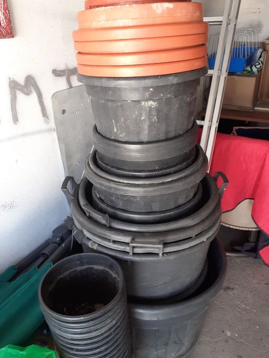 Baldes e vasos para arvores ...