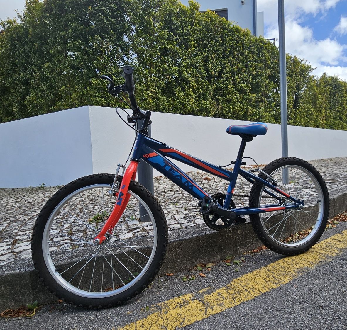 Bicicleta de Criança 20" [SEMI-NOVA]