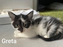 Greta około dwa i pół miesiąca