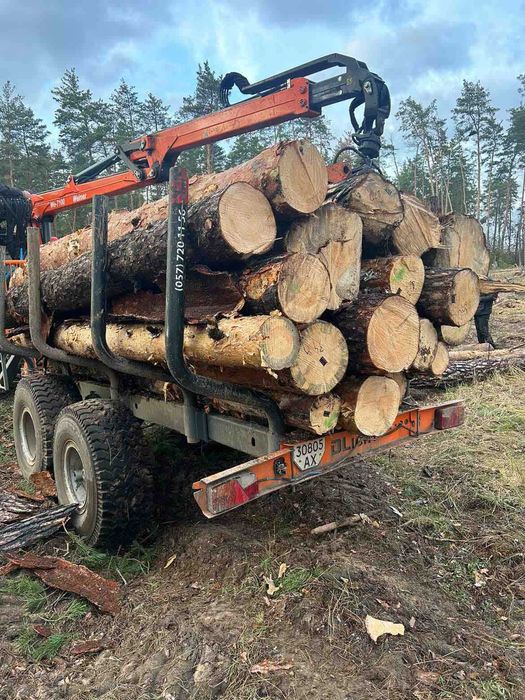 Ліс сосновий кругляк свіжопиляний