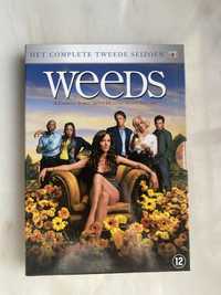 Weeds 2 Temporada