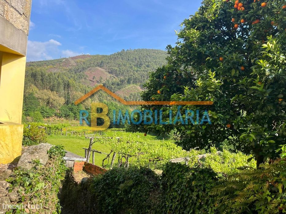 Terreno rústico em Moldes – Arouca