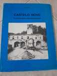 Castelo Novo: estudos para uma monografia