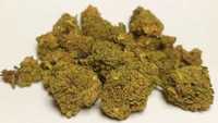 1G Susz CBD Super Silver Haze 35% (THCP HHCO) marihuana