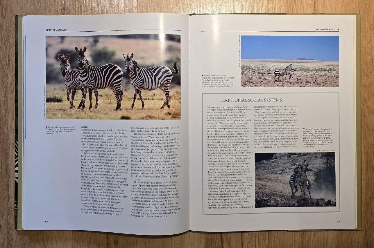 Zoologia Ssaki Encyklopedia of Mammals G McKay j. ang. Piękny album *