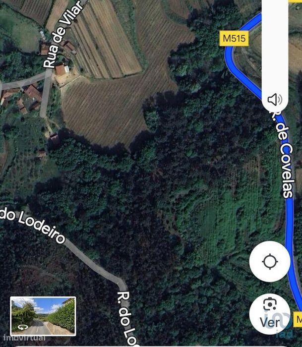 Terreno em Telões de 25000,00 m2