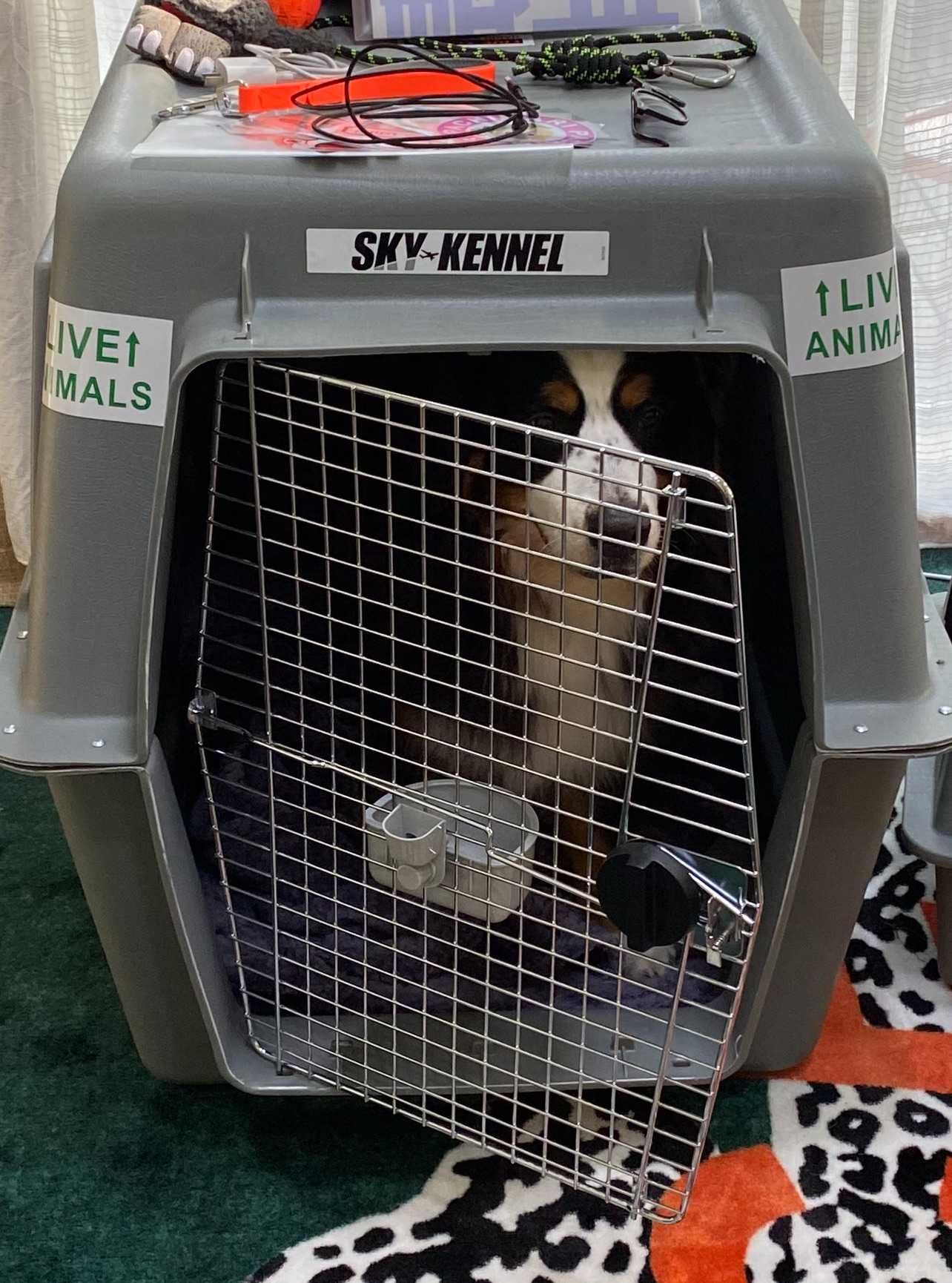 Caixa transportadora de cão SkyKennel IATA XXL