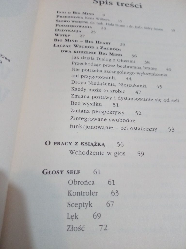Wielki umysł, wielkie serce - Dennis Genpo Merzel