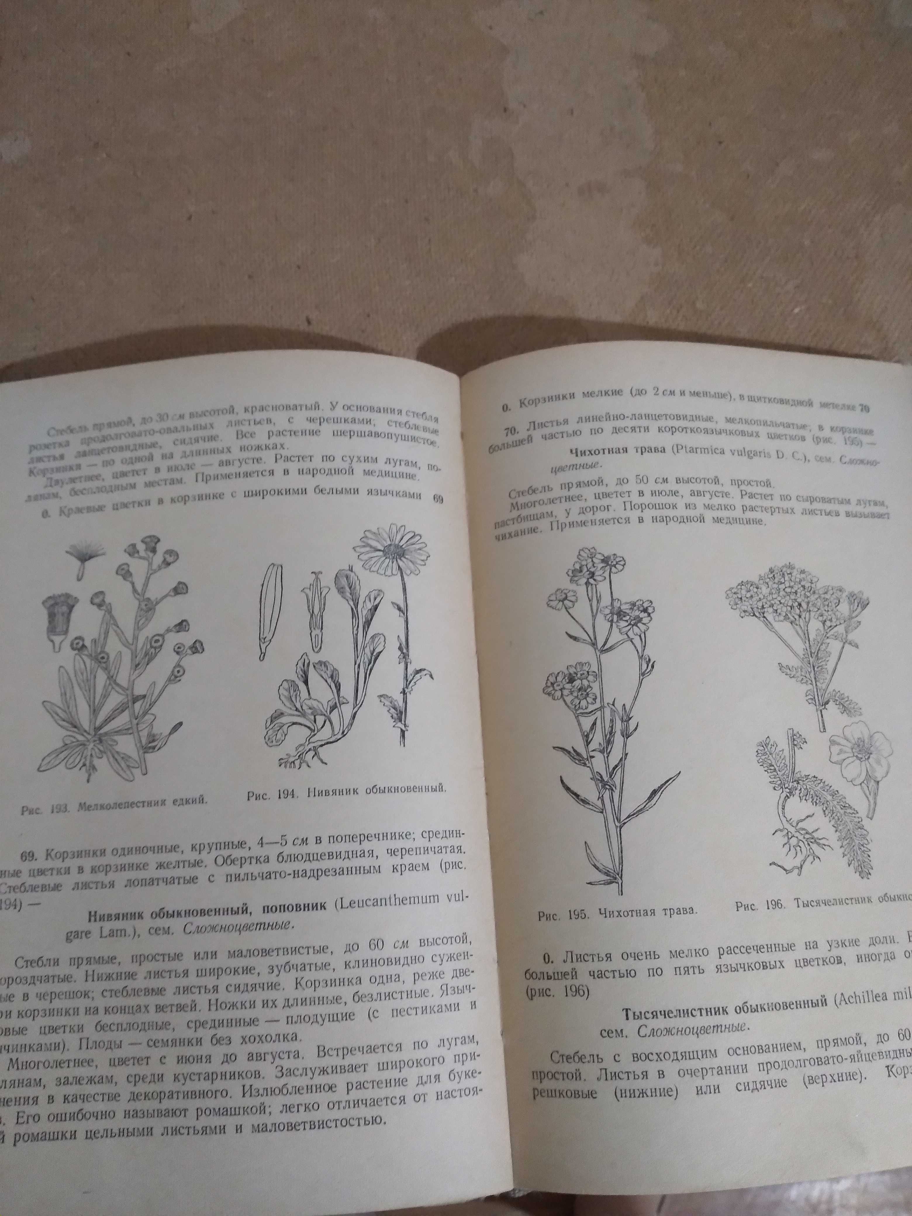 Ю.К.Круберг,З.Ф.Чефранова,,Школьный определитель высших растений"