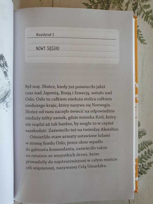 Doktor Proktor i proszek pierdzioszek - Jo Nesbo - Nowa