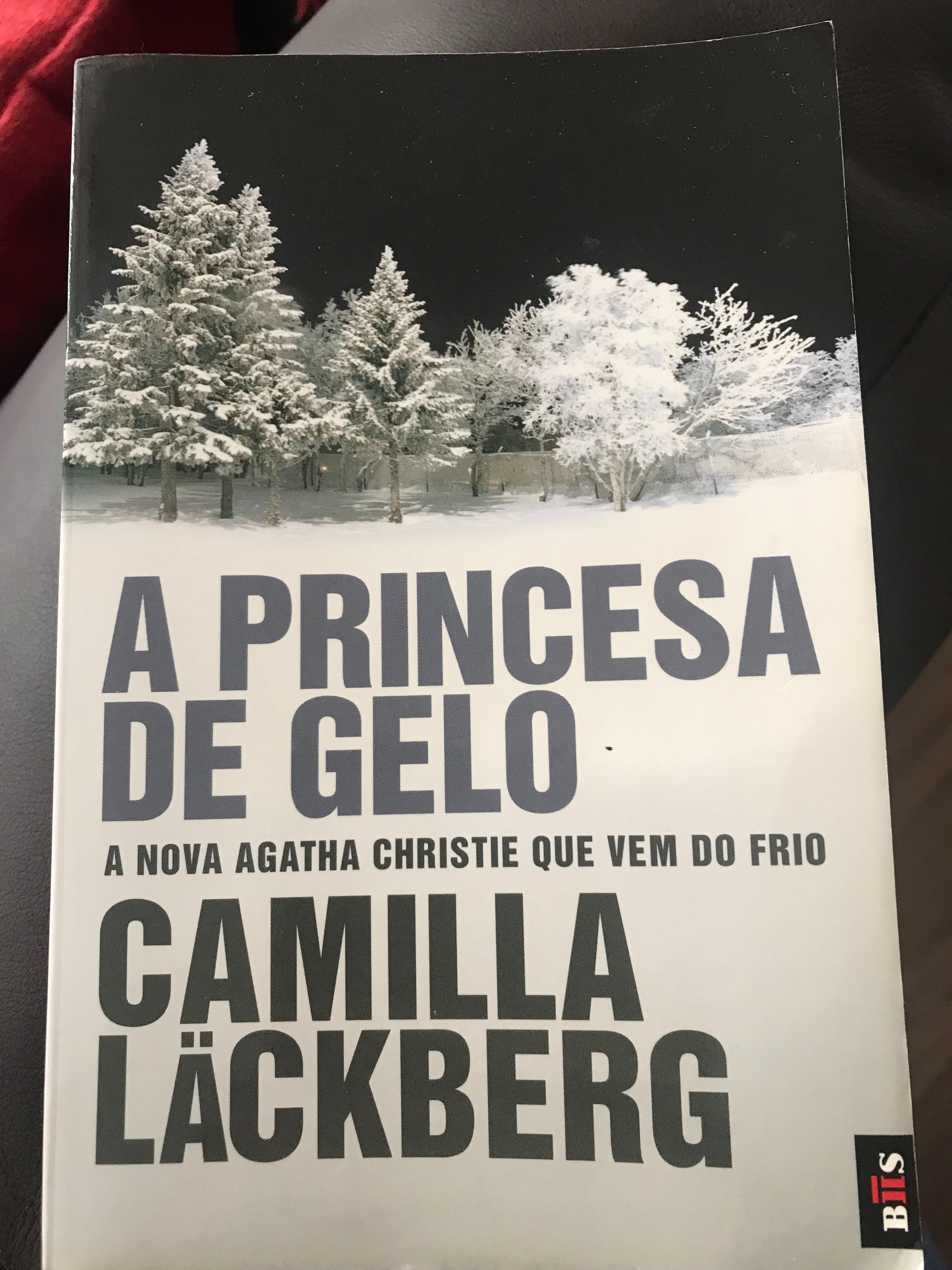 4 Livros Jo Nesbo + Livro Camilla Leckberg /6 Livros Dan Brown