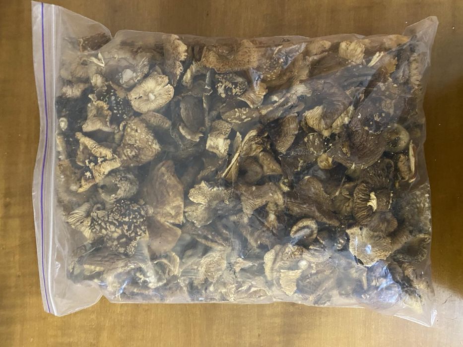 Гриби сухі по хорошим цінам гриби для мікродозингу