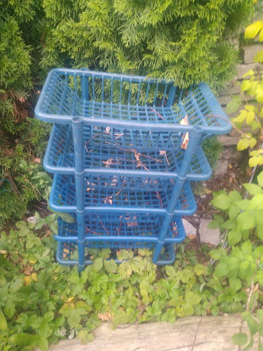 "Skarby" z działki / zabytkowe, użytkowe - wybierz dla siebie