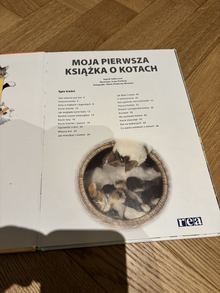 Moja pierwsza książka o kotach