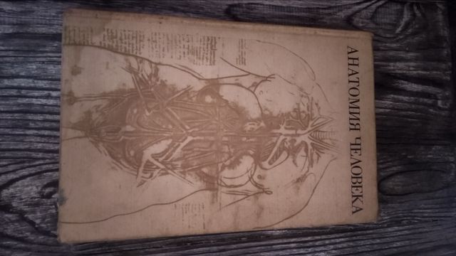 Учебник анатомия человека