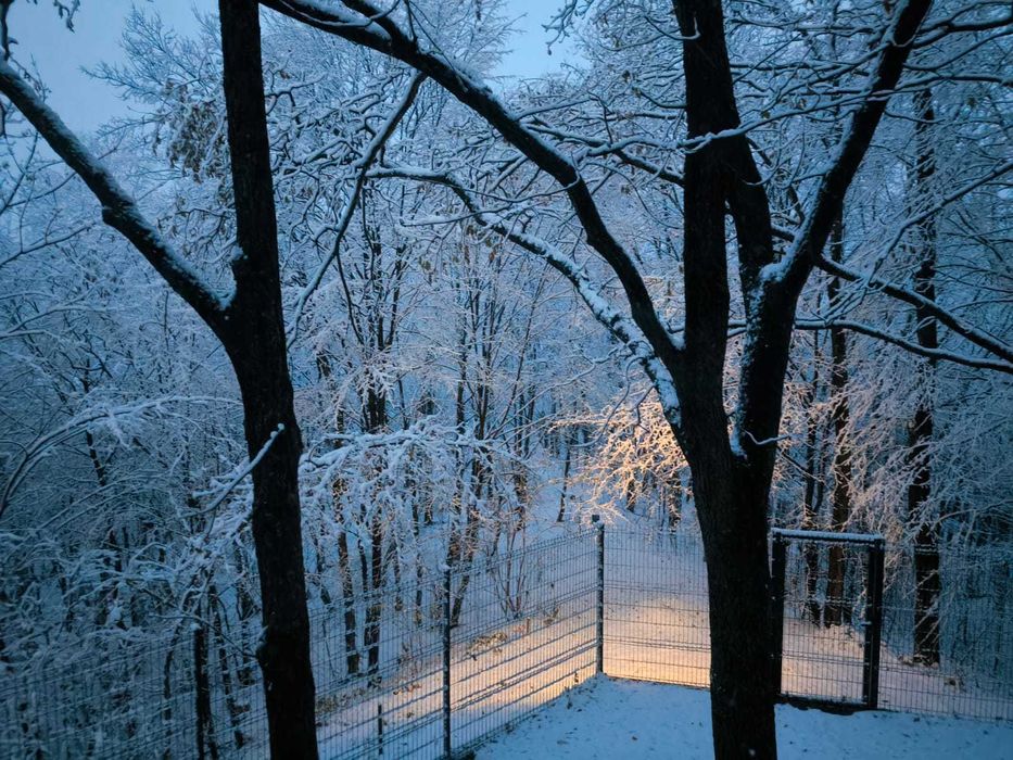 Дім, де живе гармонія, комфорт, стиль і безпека у кожному сантиметрі