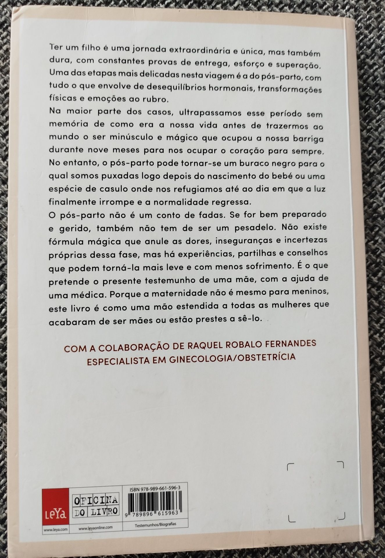 Livro "A maternidade não é para meninos"