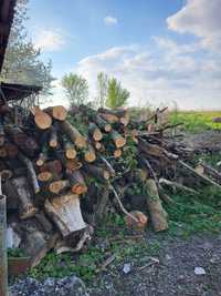 Продам дрова різних порід 3000грн