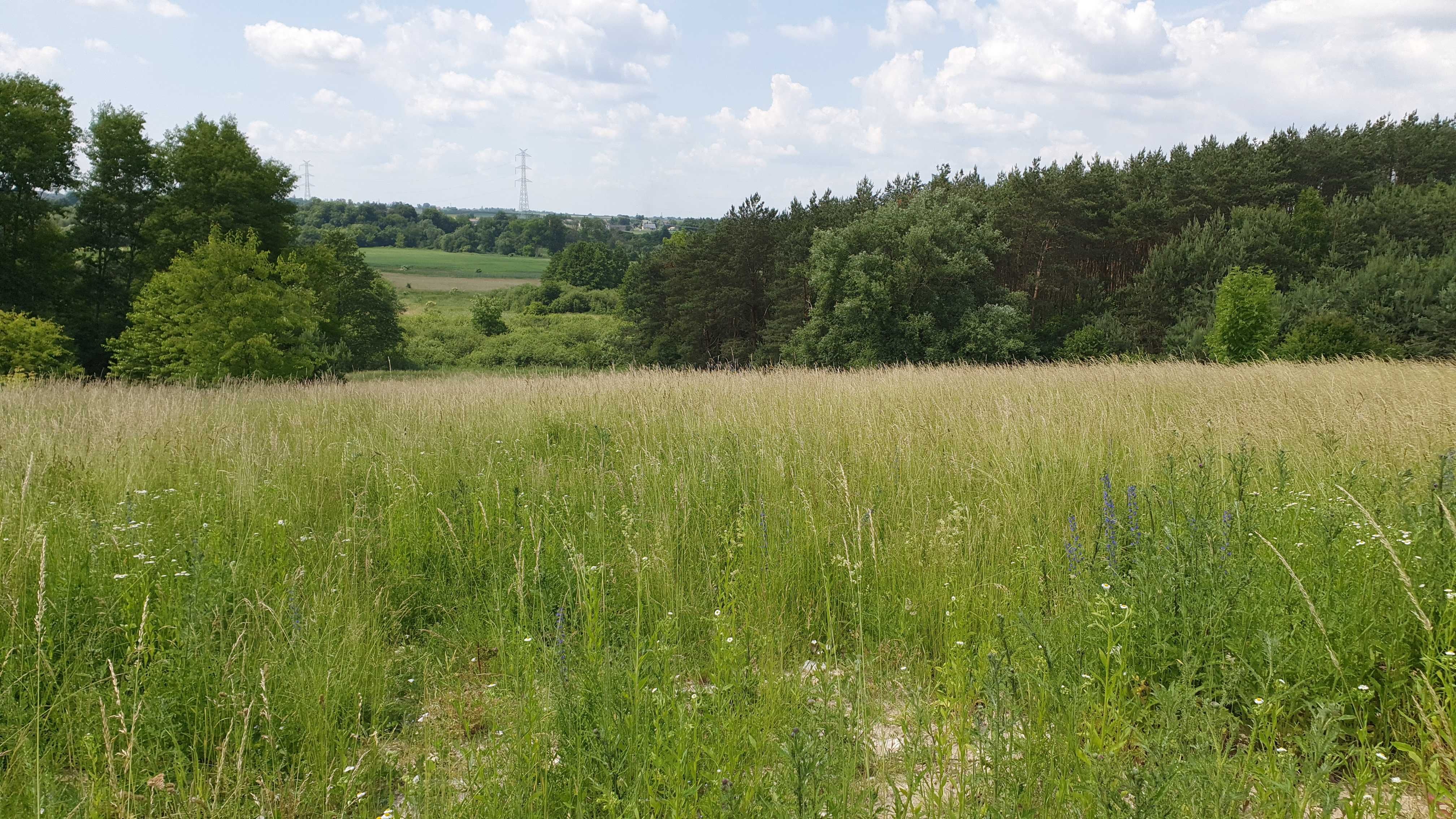 Działka budowlana nad doliną Bystrzycy z pięknym widokiem