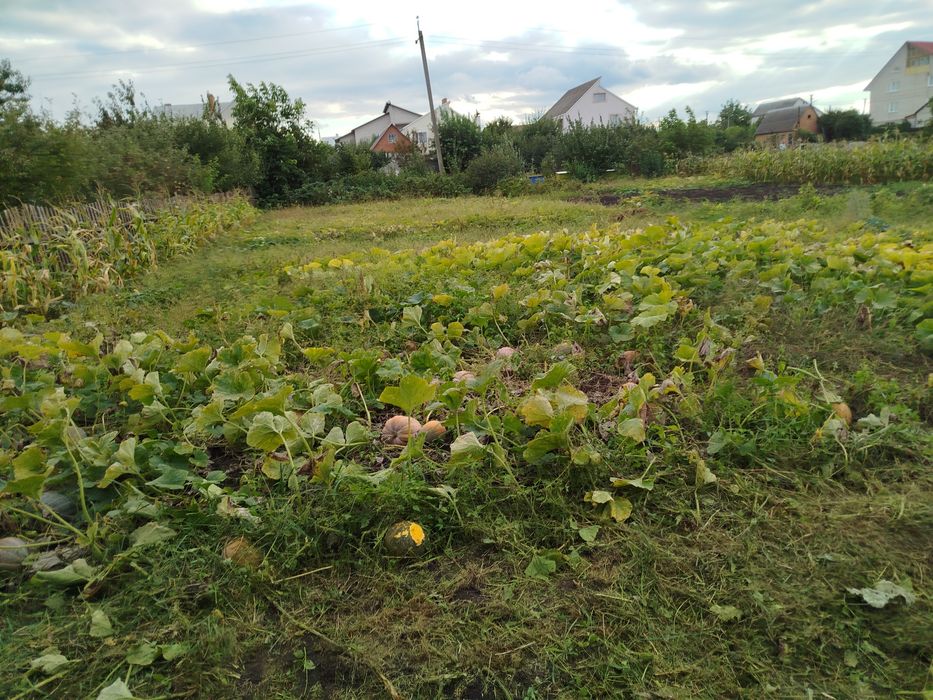 Продам землю, участок 10 соток