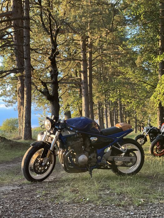 Suzuki gsx 600 bandit  cafe racer
