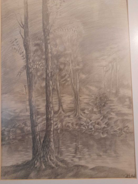 Pejzaż LAS grafitowy w ołówku oprawiony w ramie za specjalnym szkłem