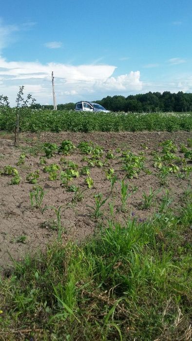 Ділянка під забудову, Західно-окружна, район костелу