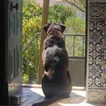 Hotel Canino - Alojamento familiar: Quinta do Vini