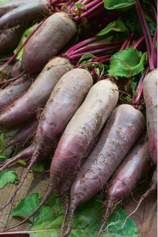 Продається картопля, буряк морква, і цибуля.