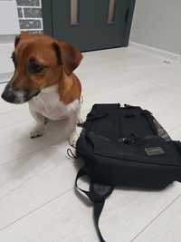 Рюкзак для собаки
