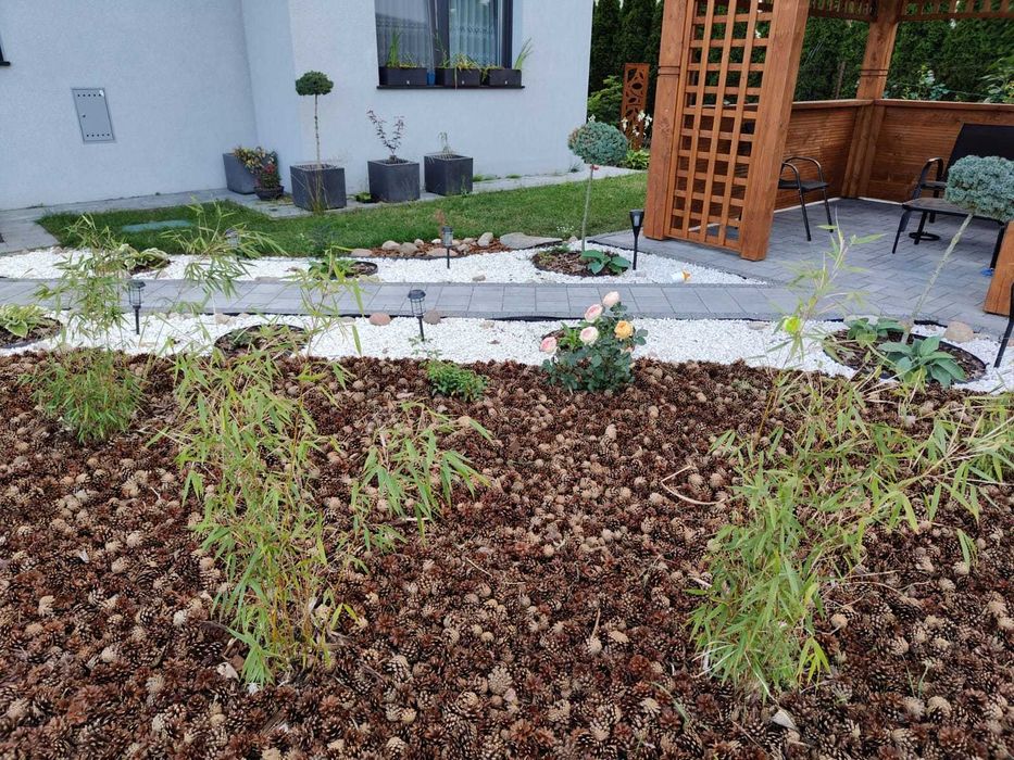 Szyszki sosnowe pozbawione nasion do ściółkowania / dekoracji 20 kg