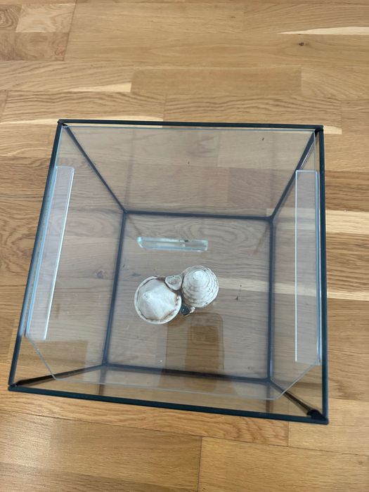 Акваріум в гарному стані