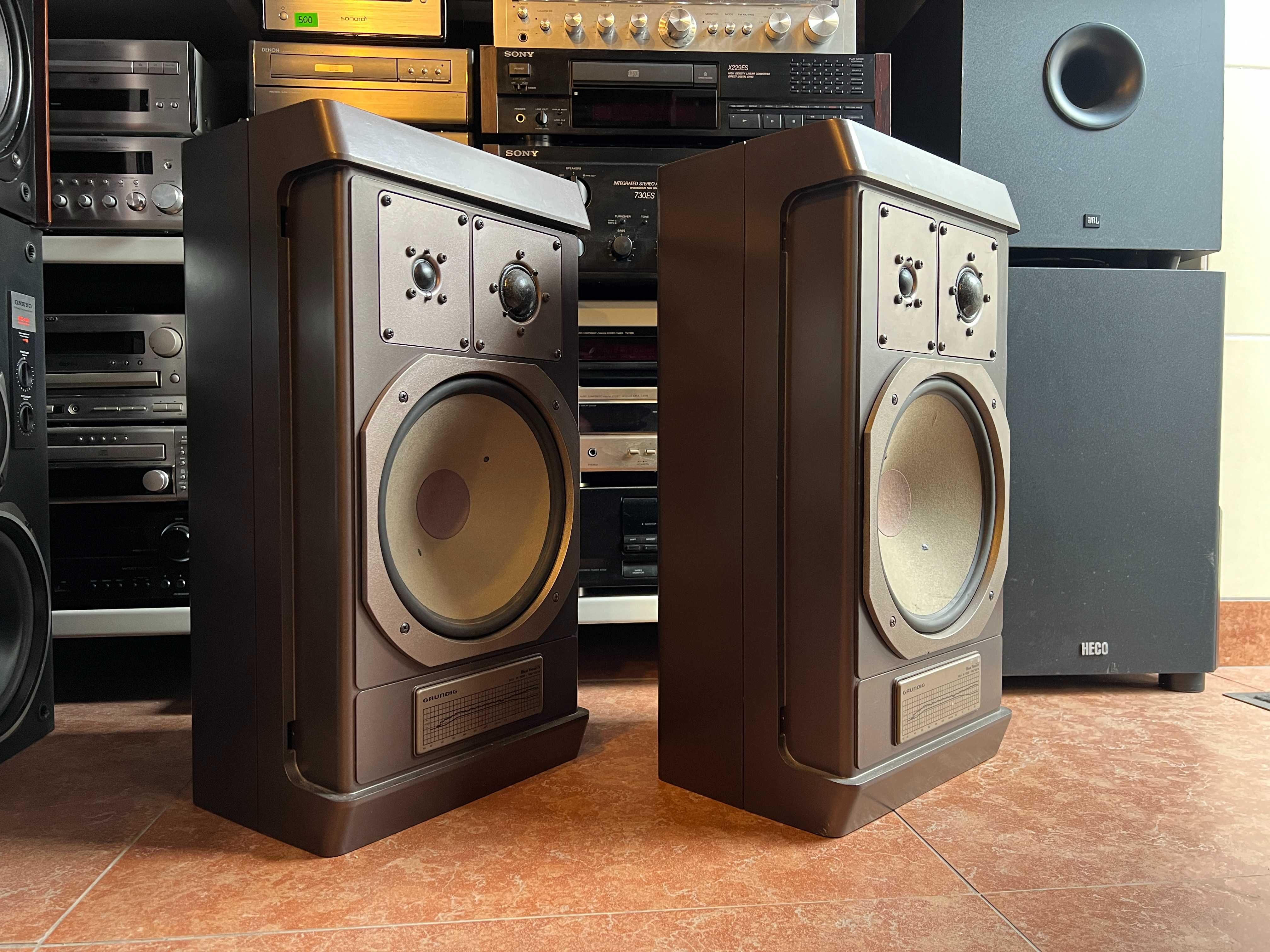 Kolumny Grundig Box M1500 monitory podłogowe, Audio Room