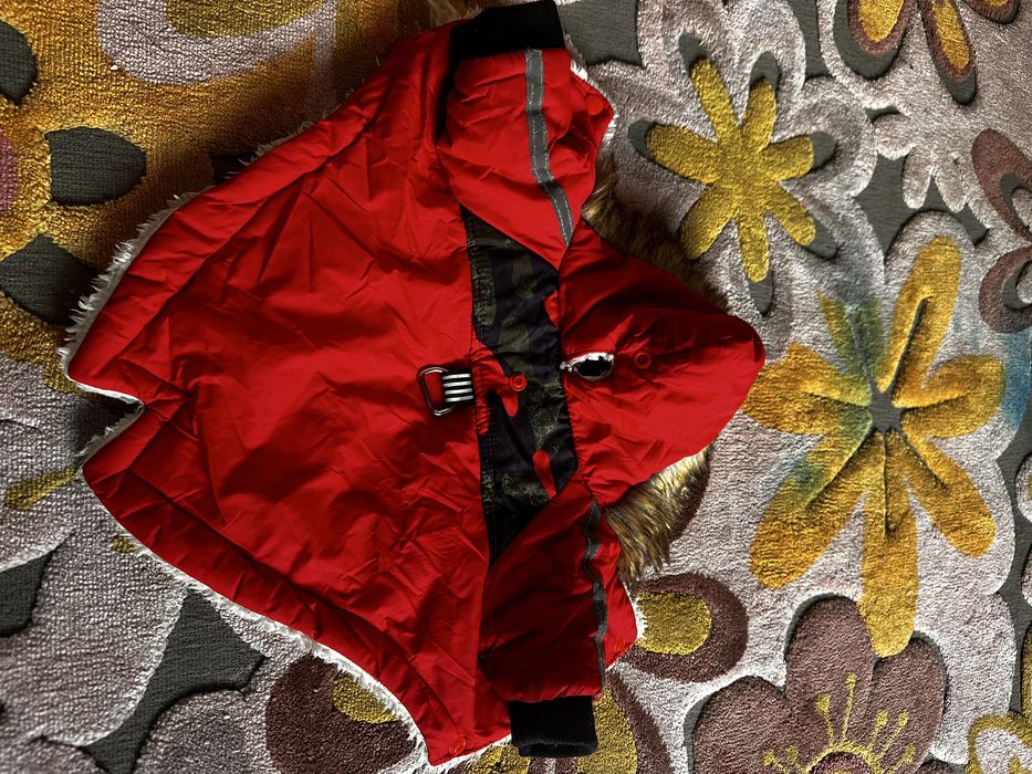 Одяг для собак, кота