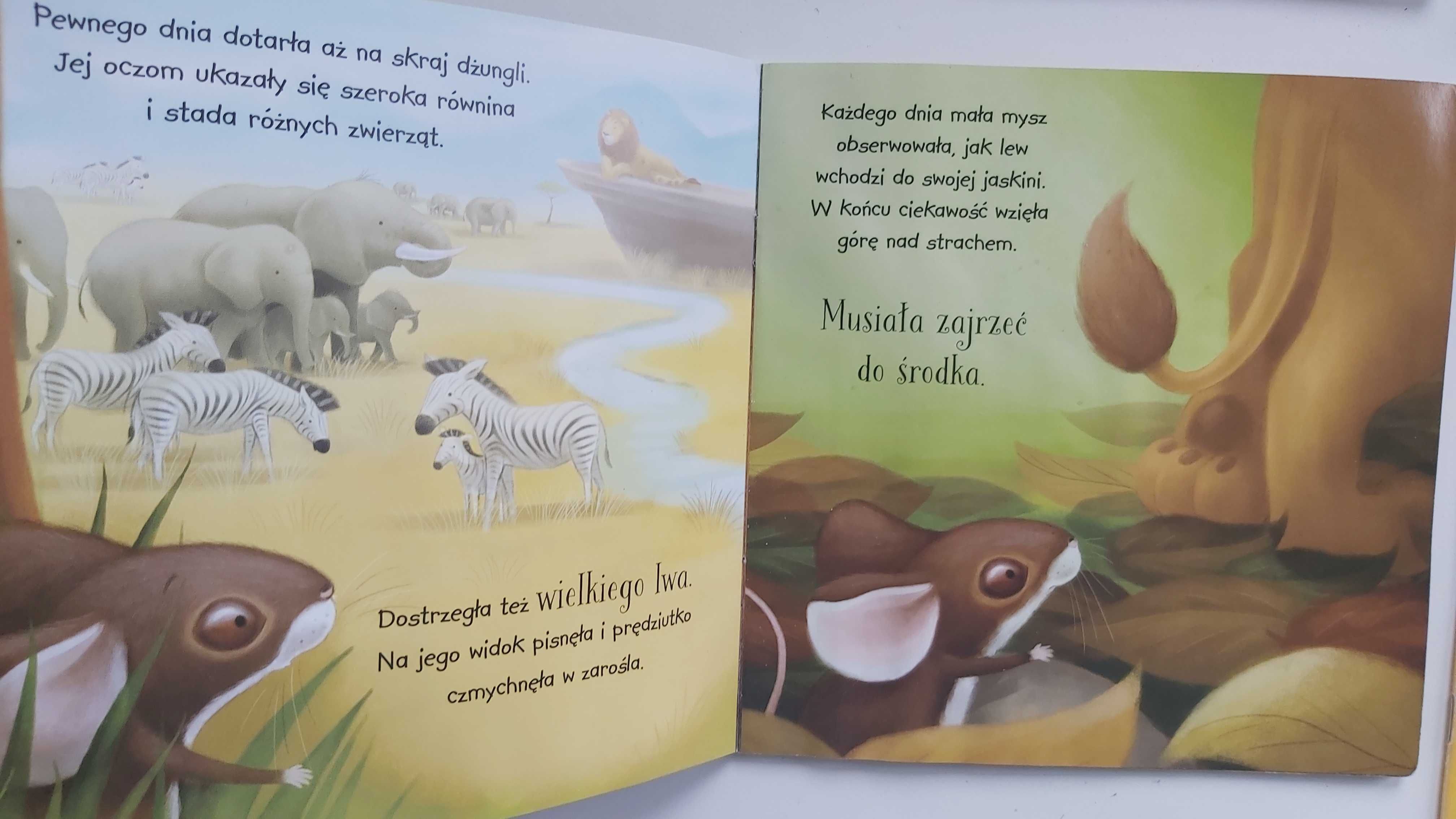Książeczki dla maluchów: Świnka Peppa, Słoniątko, Lew i mysz