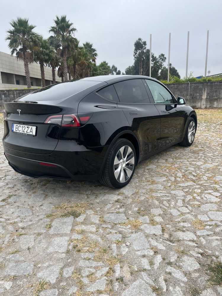 Tesla Model Y RWD