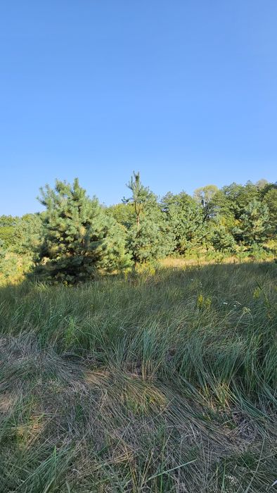 Дешева земельна ділянка в межах міста.