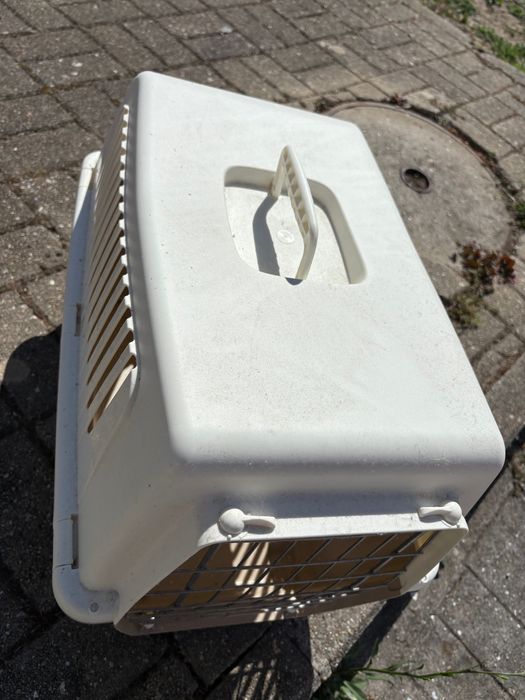 Transportadora de cão