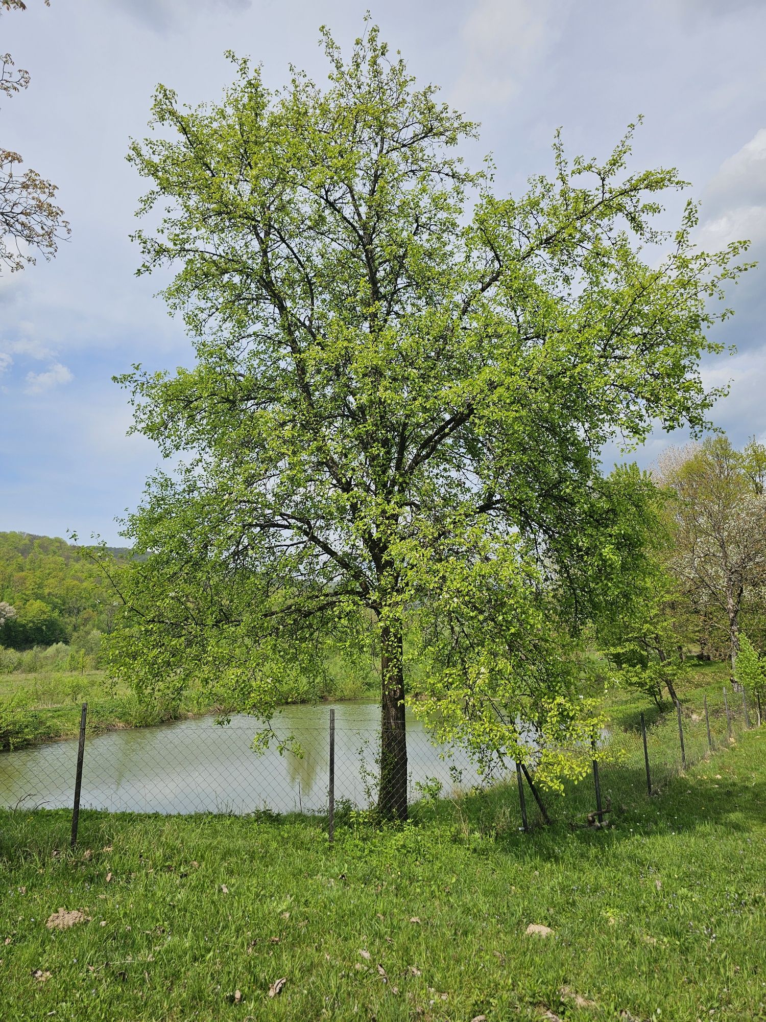 Продам земельну ділянку