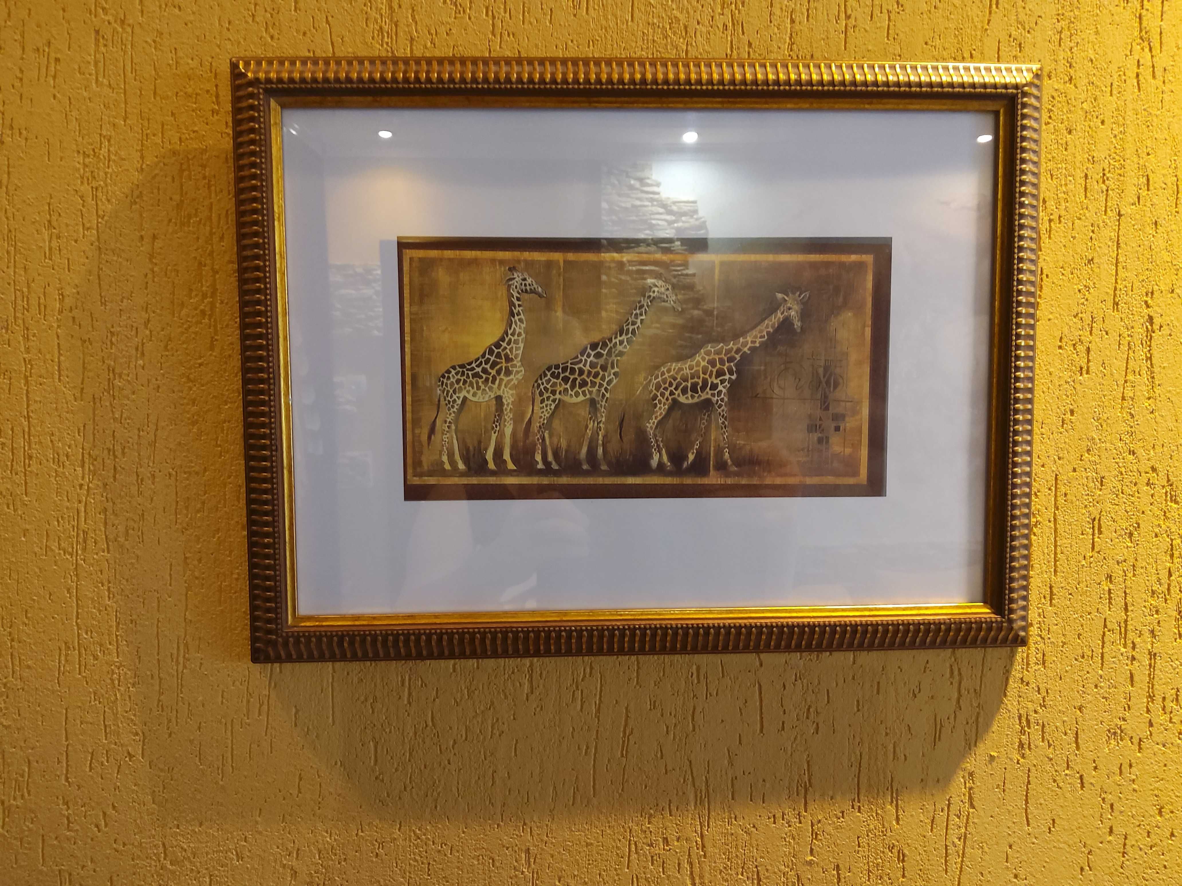 Жирафы Африка картина под стеклом