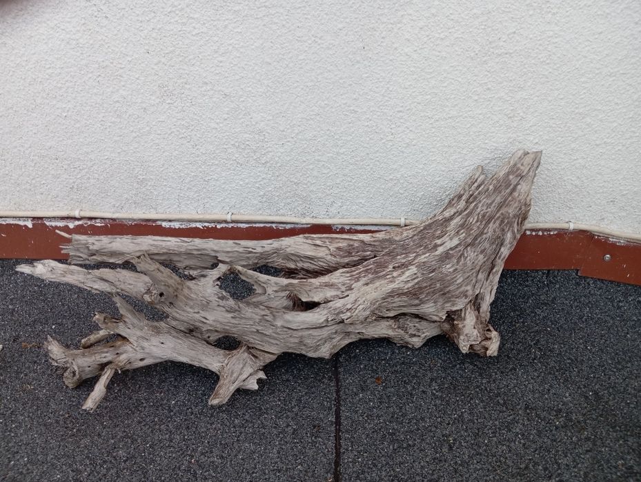 Korzenie do akwarium cd ,terrarium duży wybór !