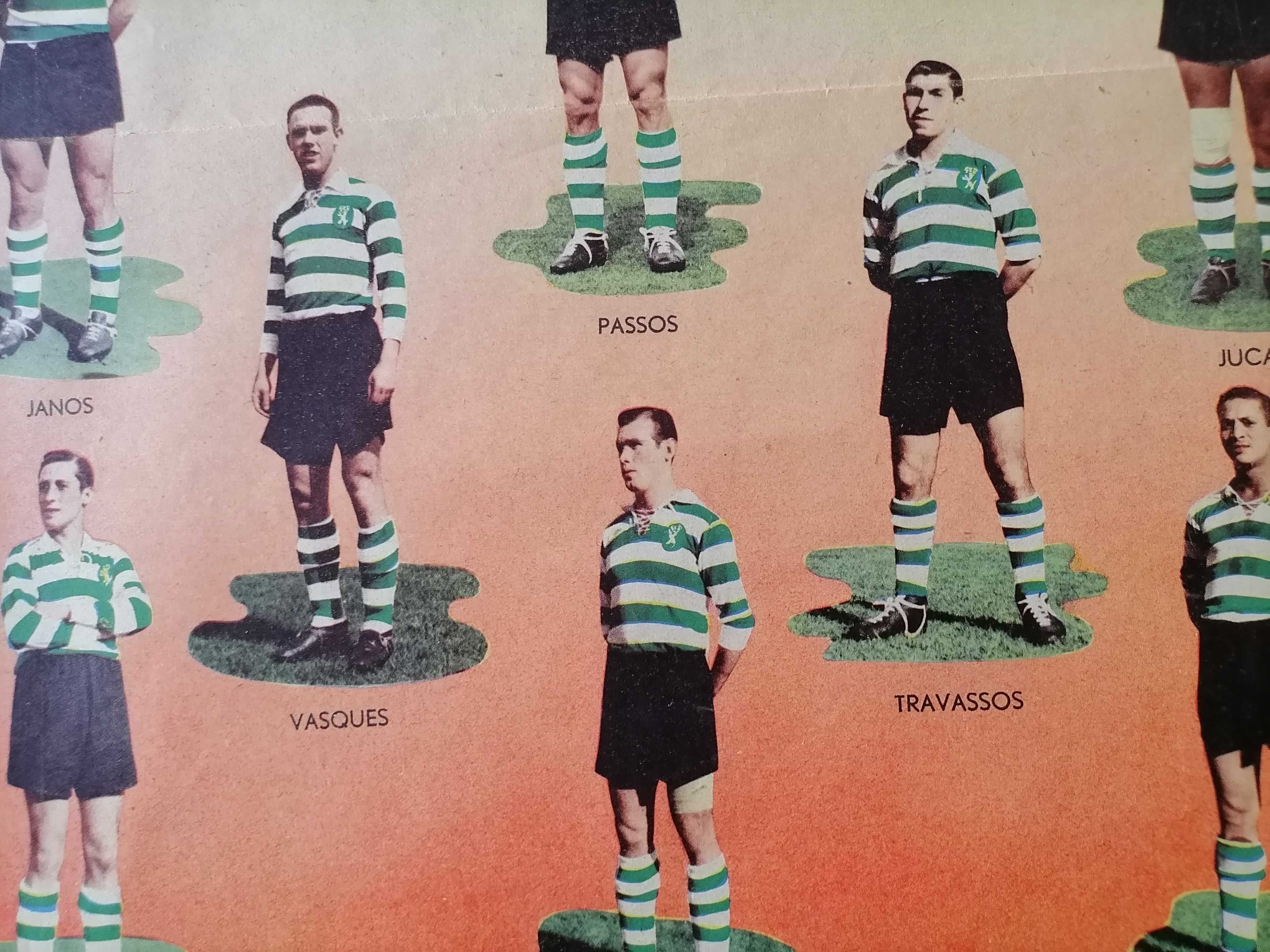 SPORTING  Campeão Nacional 1953/54 Separata Álbum dos Campeões