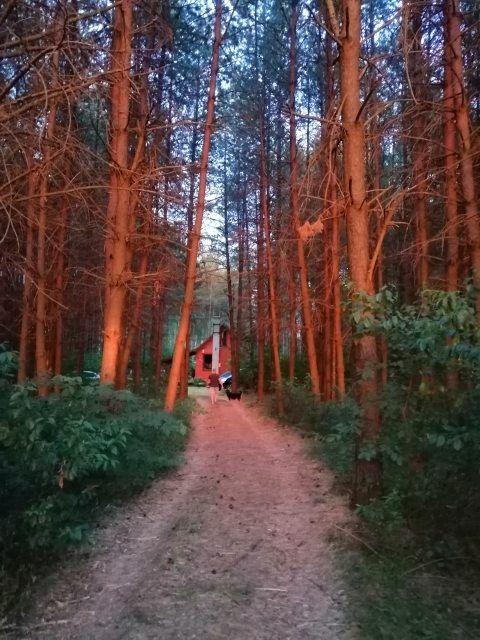 Leśny domek letniskowy Piasutno Mazury