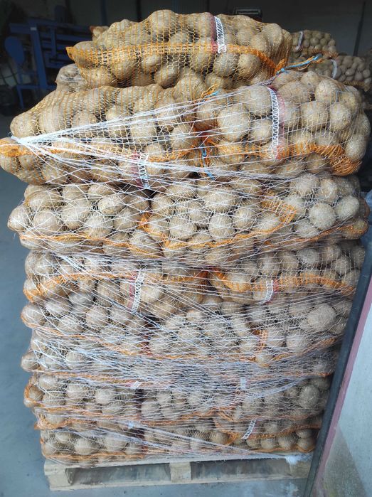 Ziemniaki Vineta/Marabel  15kg/25kg lub w big bagach kliber + 5,5cm