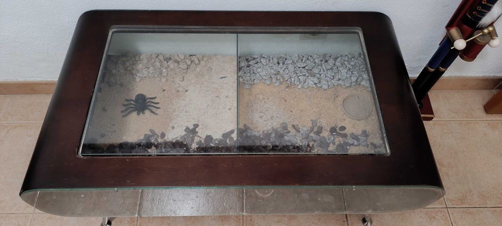 Terrário | Mesa de centro de sala (peça unica)