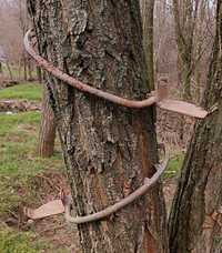 когти лазы производства СССР для лазанья по деревьям и столбам кiгтi