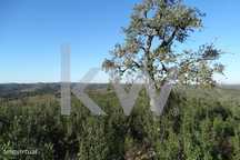 Nova Baixa De Preço - Terreno Para Venda Em Santana Da Serra (Ourique)