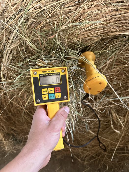 Piekne Siano 120 z hali bezdeszczowe