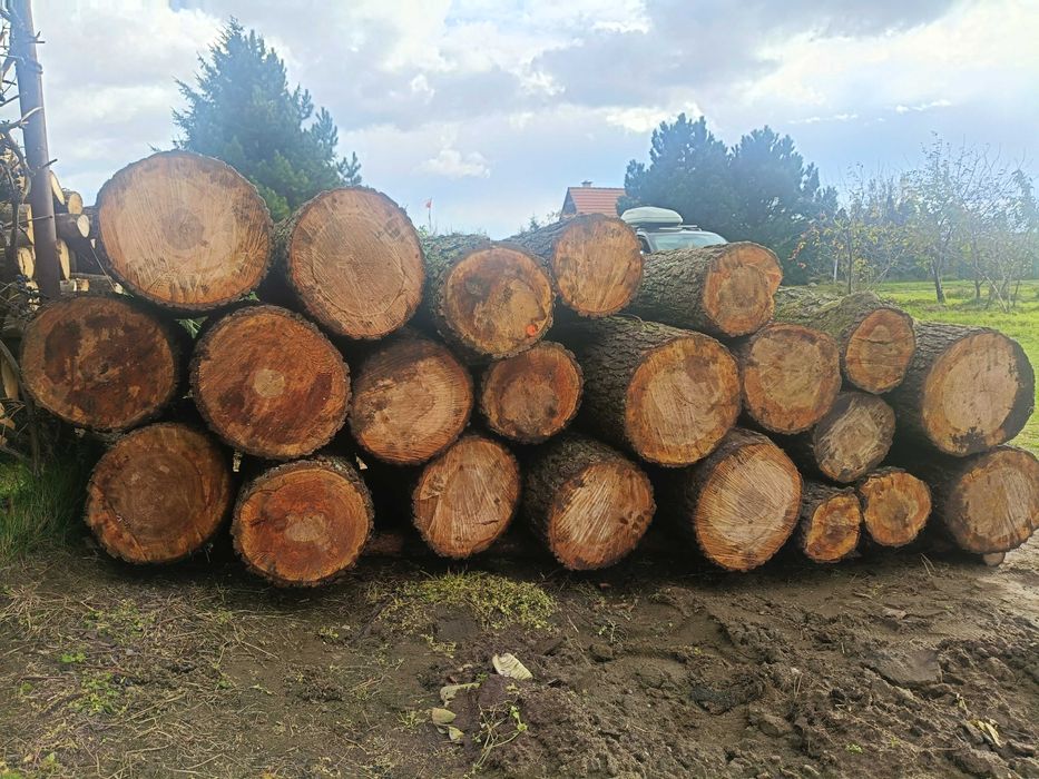 Sprzedam drewno opałowe